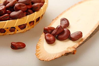 《猫神公司》6月19日EA发售 支持简中